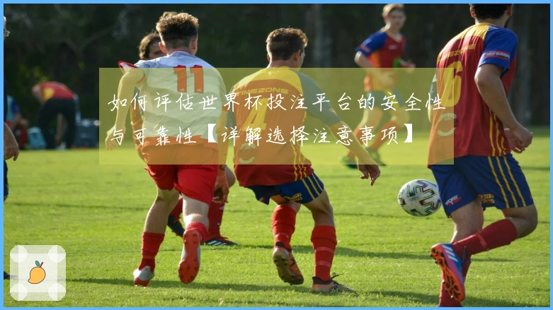 如何评估世界杯投注平台的安全性与可靠性【详解选择注意事项】